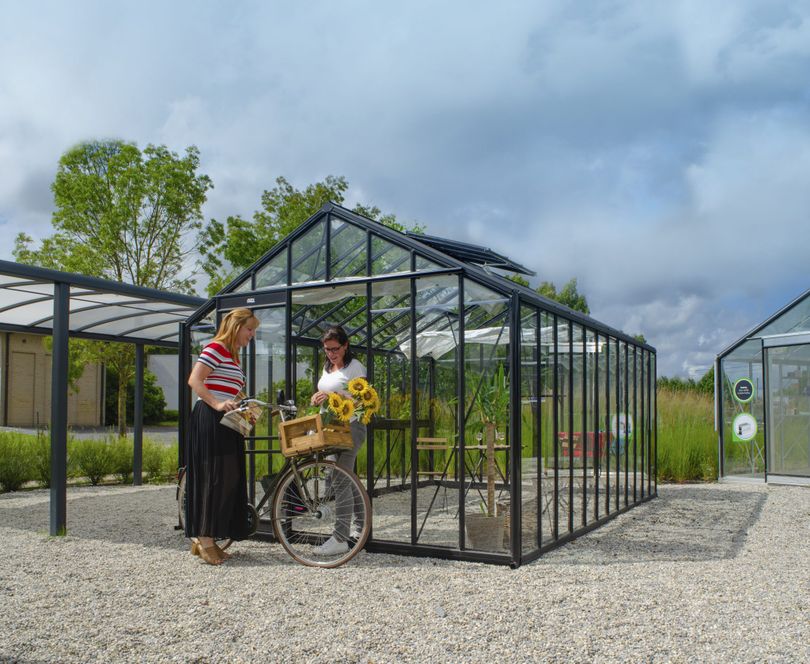 Odoo • Image et Texte