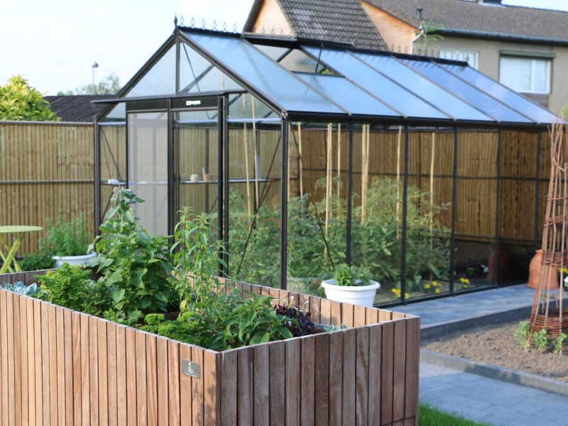 Serre ACD R305H Prestige -PROMO-