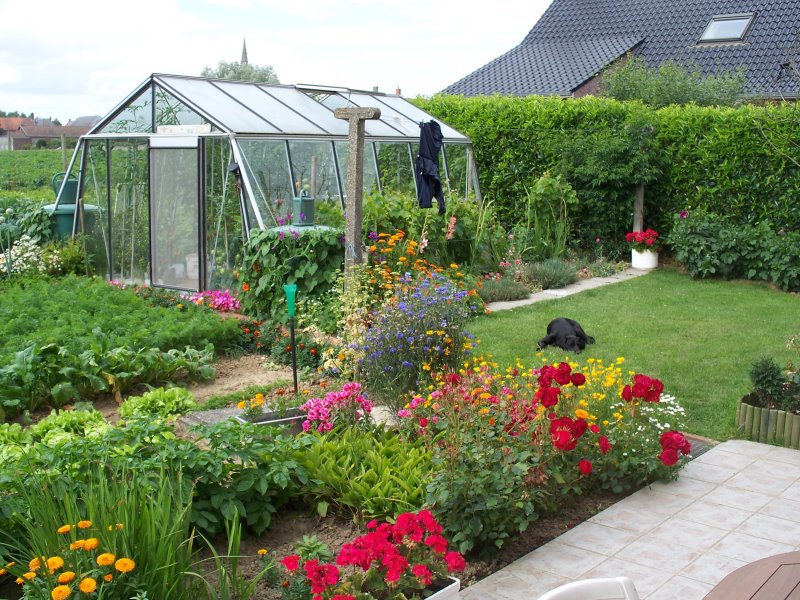 Serre ACD S206H Prestige