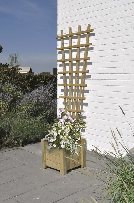 Treillis "FLORA" 175 x 32/75cm (H x L/B)